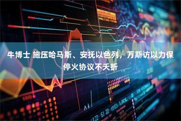 牛博士 施压哈马斯、安抚以色列，万斯访以力保停火协议不夭折