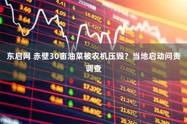东启网 赤壁30亩油菜被农机压毁？当地启动问责调查