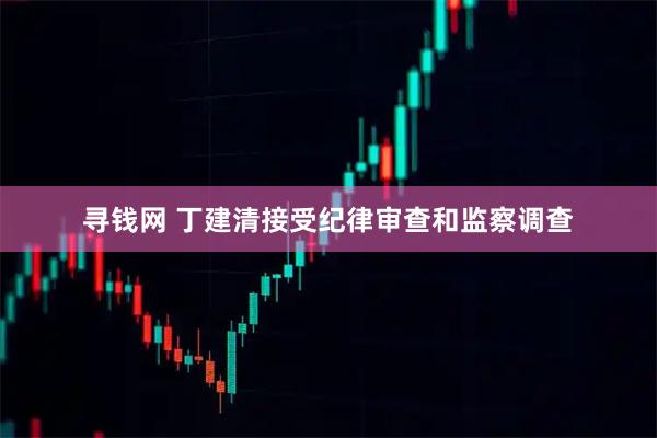 寻钱网 丁建清接受纪律审查和监察调查
