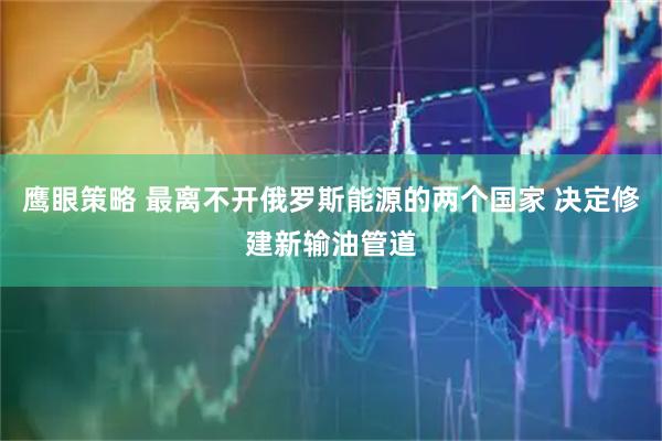 鹰眼策略 最离不开俄罗斯能源的两个国家 决定修建新输油管道